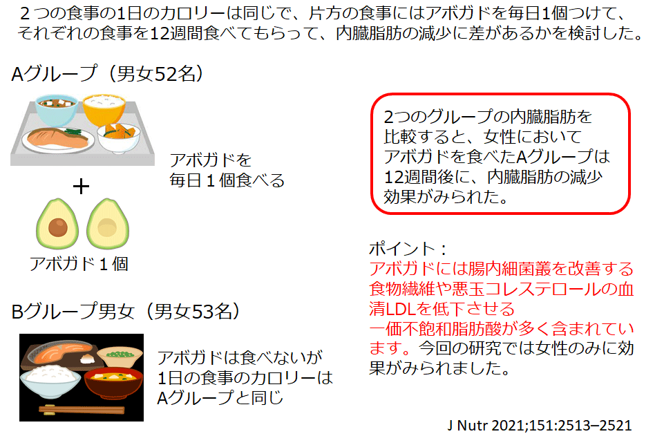 毎日アボガド１個で女性の内臓脂肪が減少