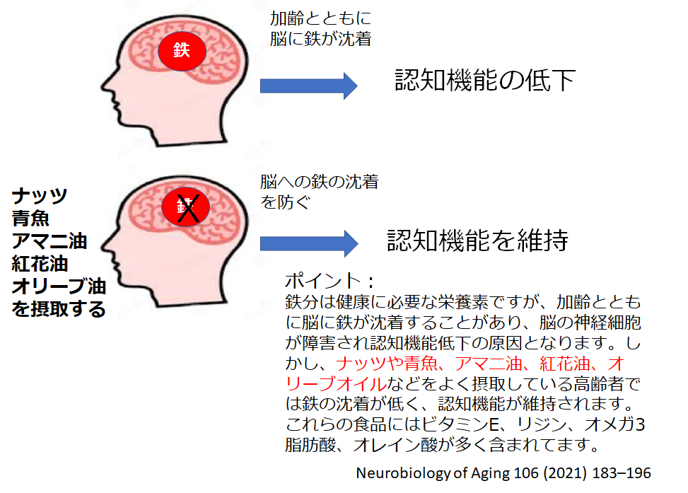 ナッツや青魚で認知機能を維持