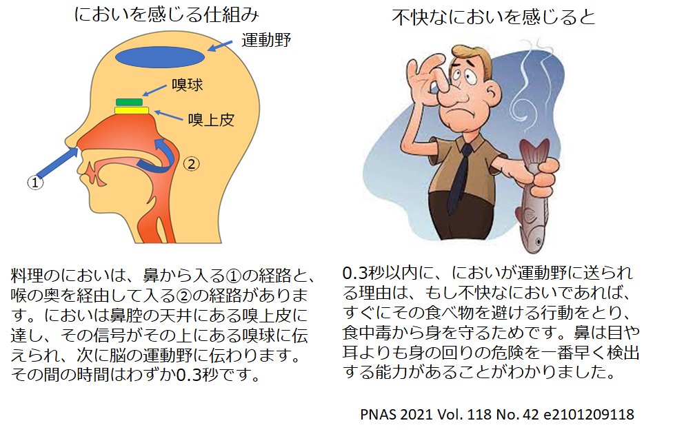 食の安全はまず鼻から