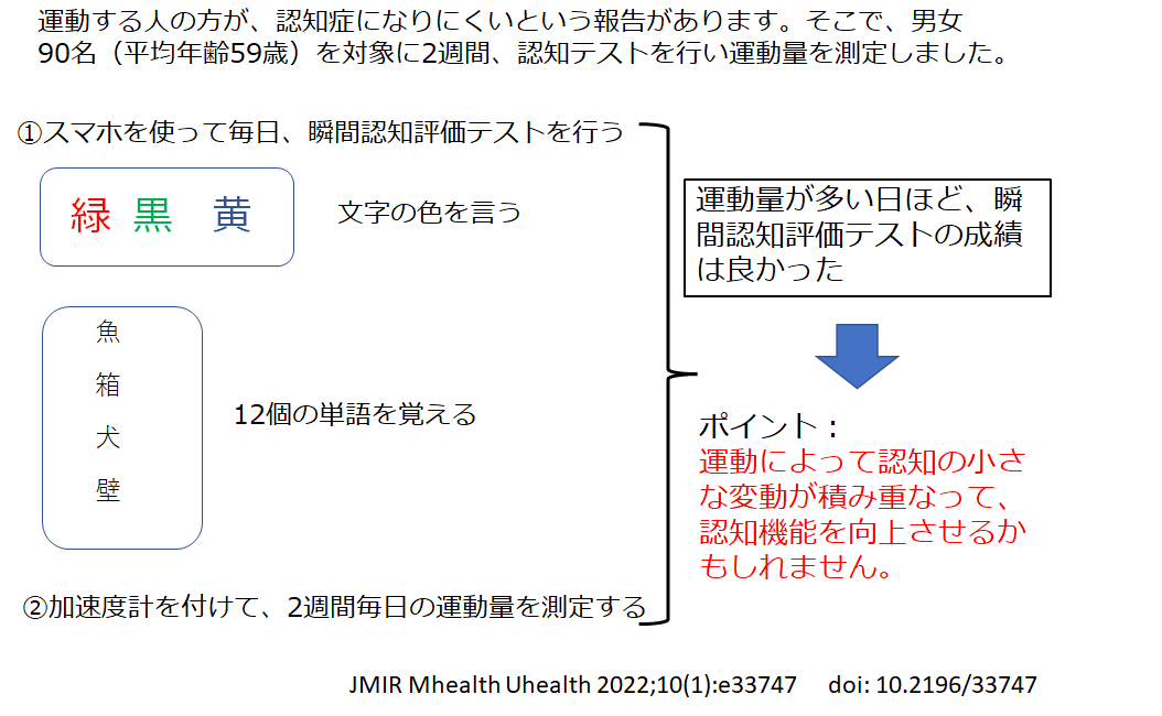 日々の運動は認知機能の向上に役立つかも