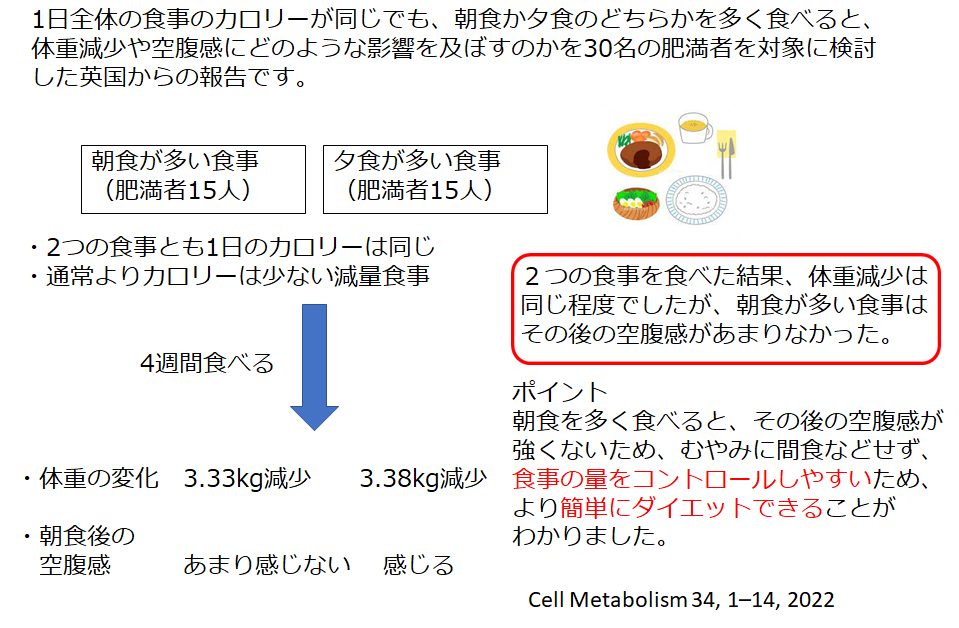 朝食をたくさん食べてダイエット