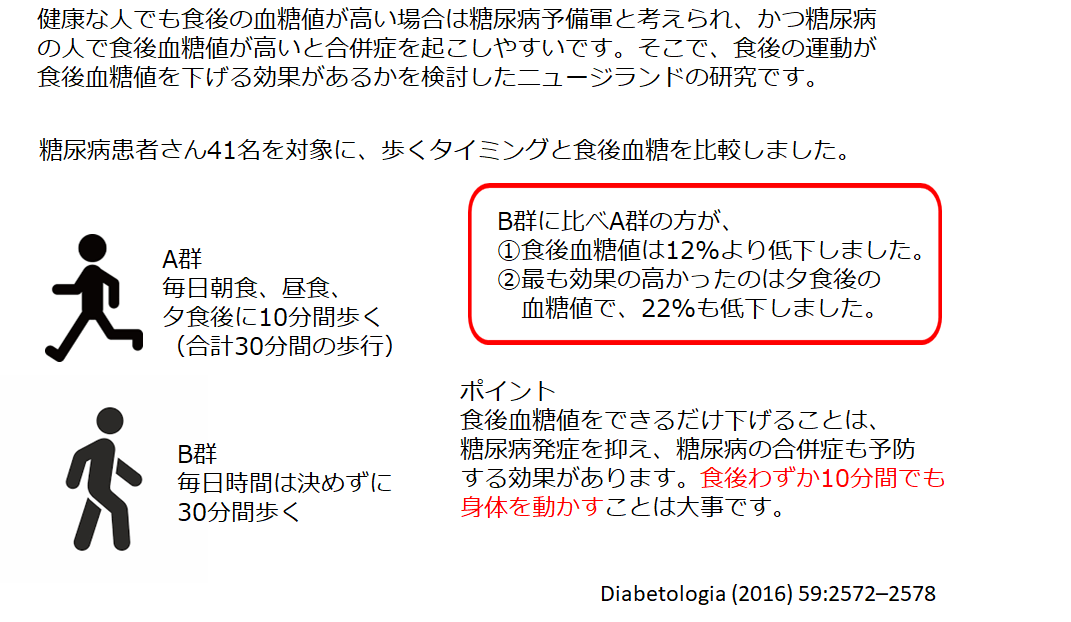 食後に歩くと食後血糖値の上昇をおさえてくれる