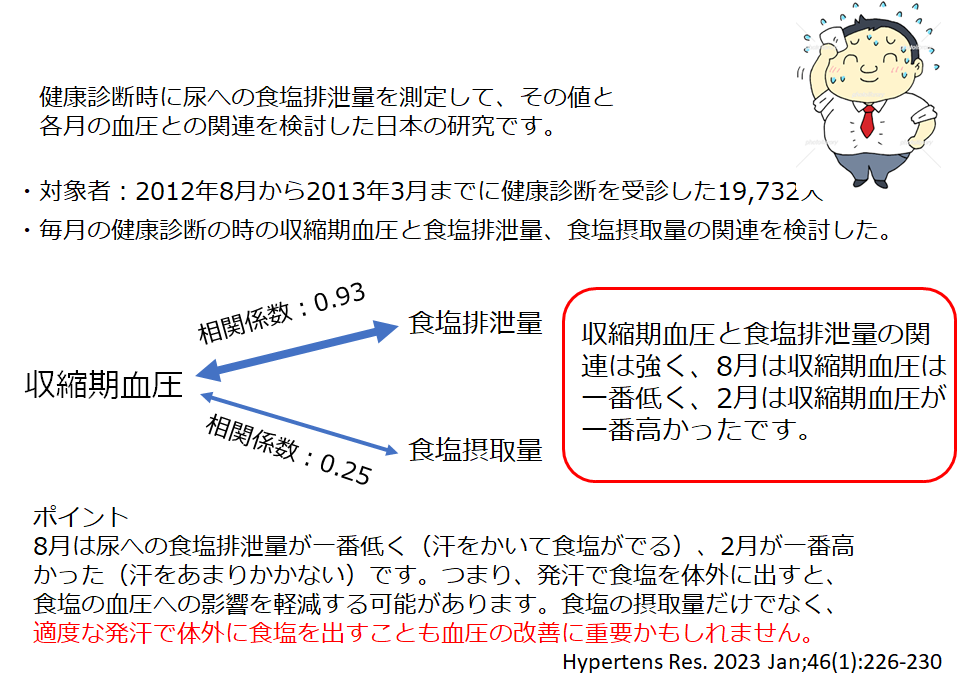 発汗は血圧の上昇を抑える