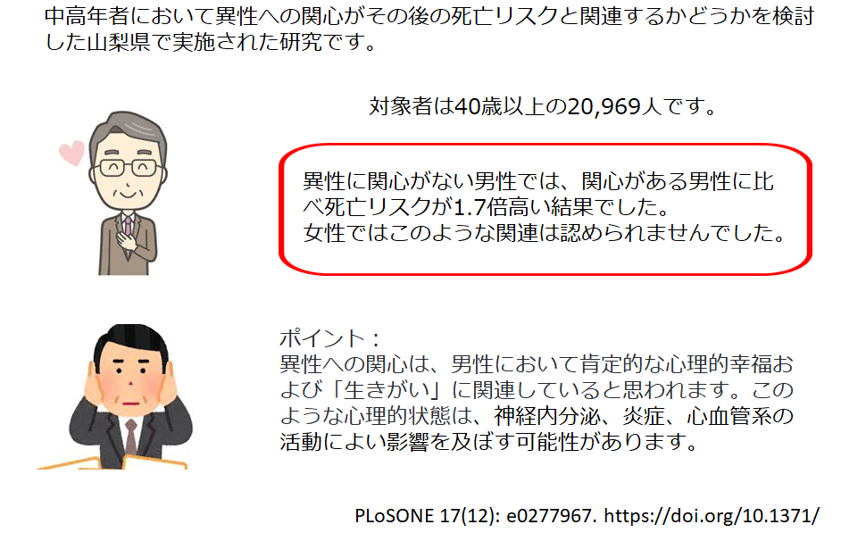 中高年の男性は異性への関心が長生きの秘訣の一つ